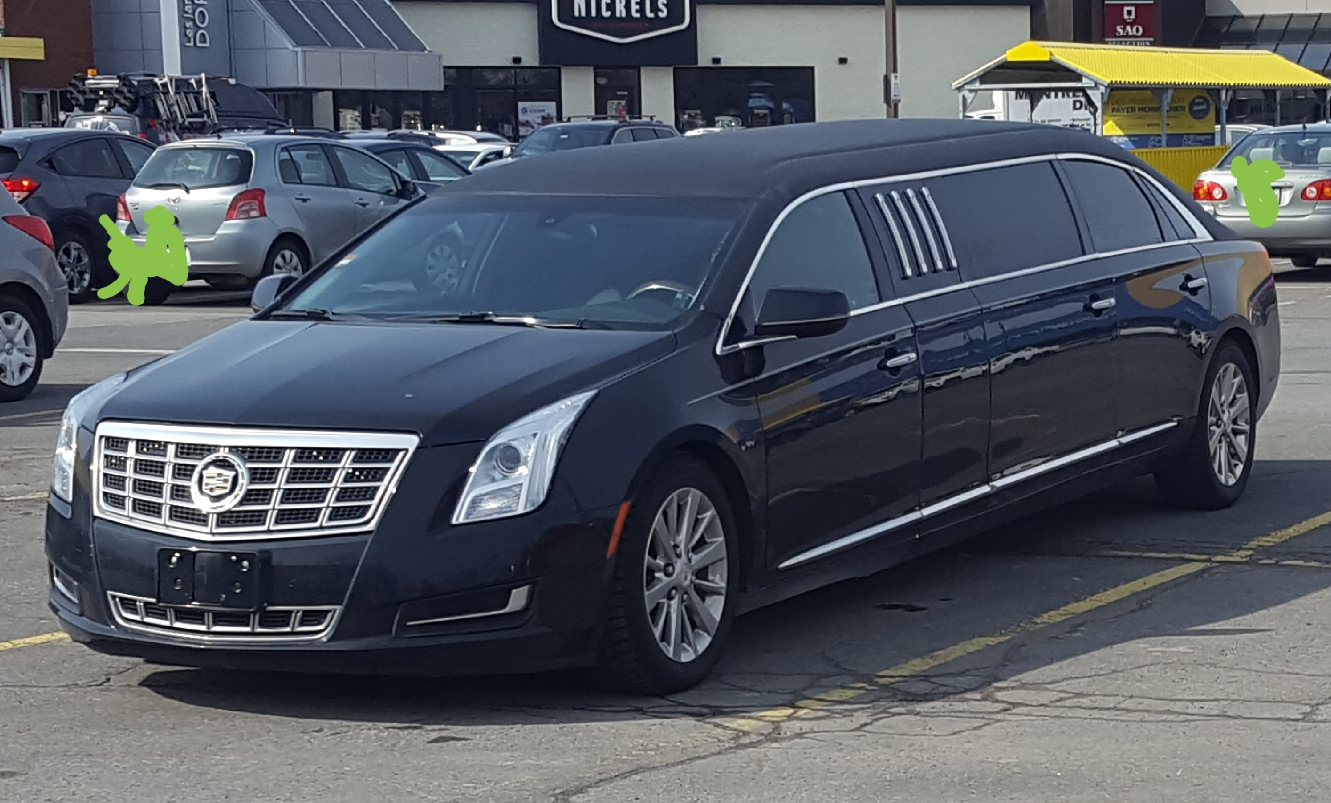 xts-limo