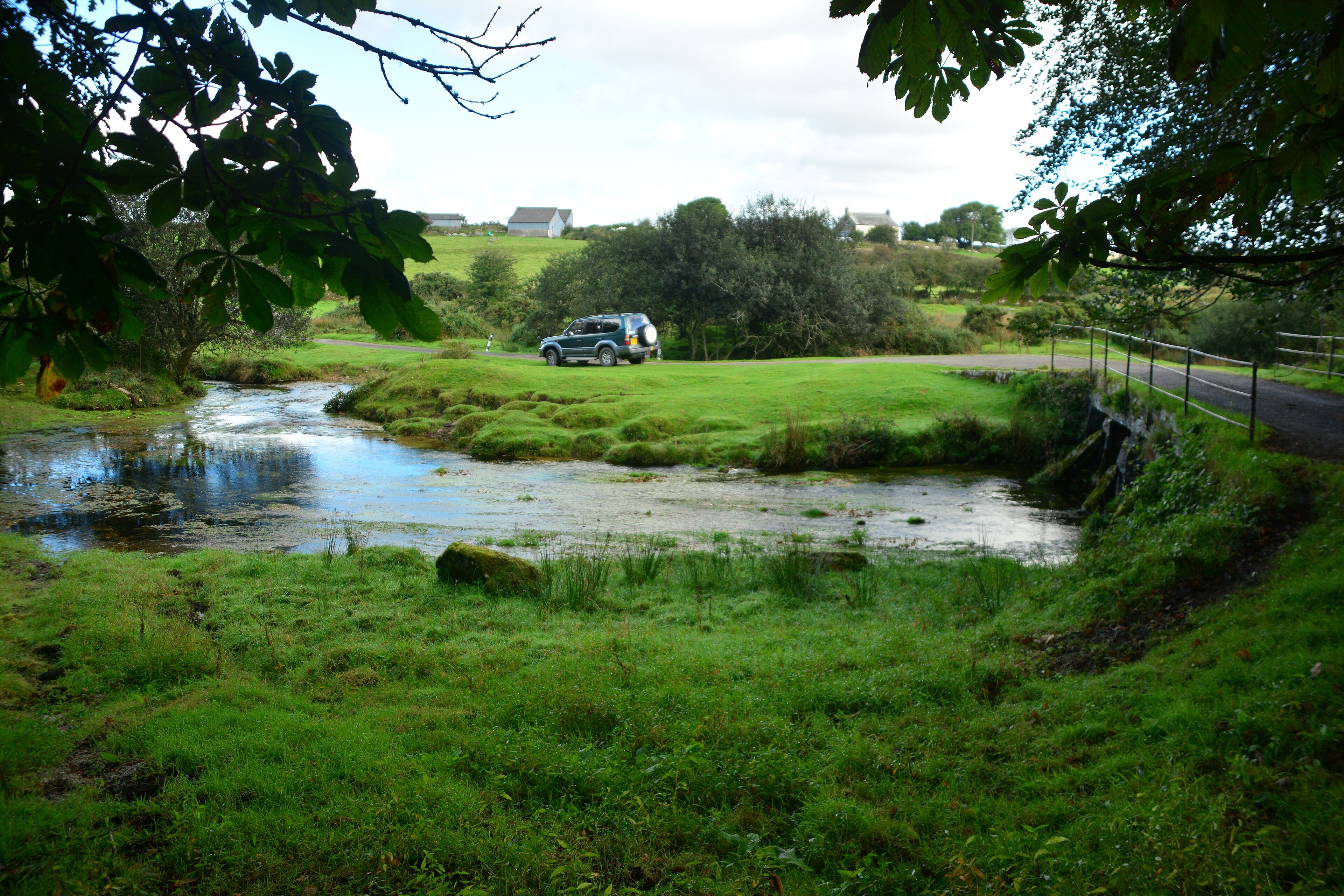 Bradford #1