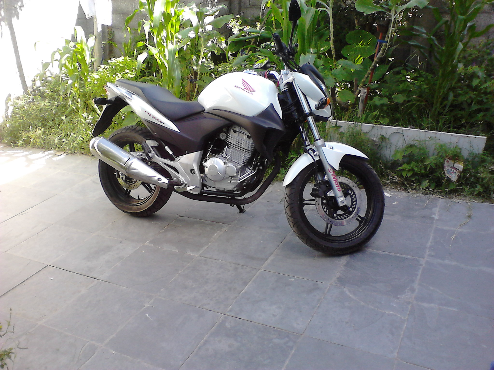 Honda CB300R