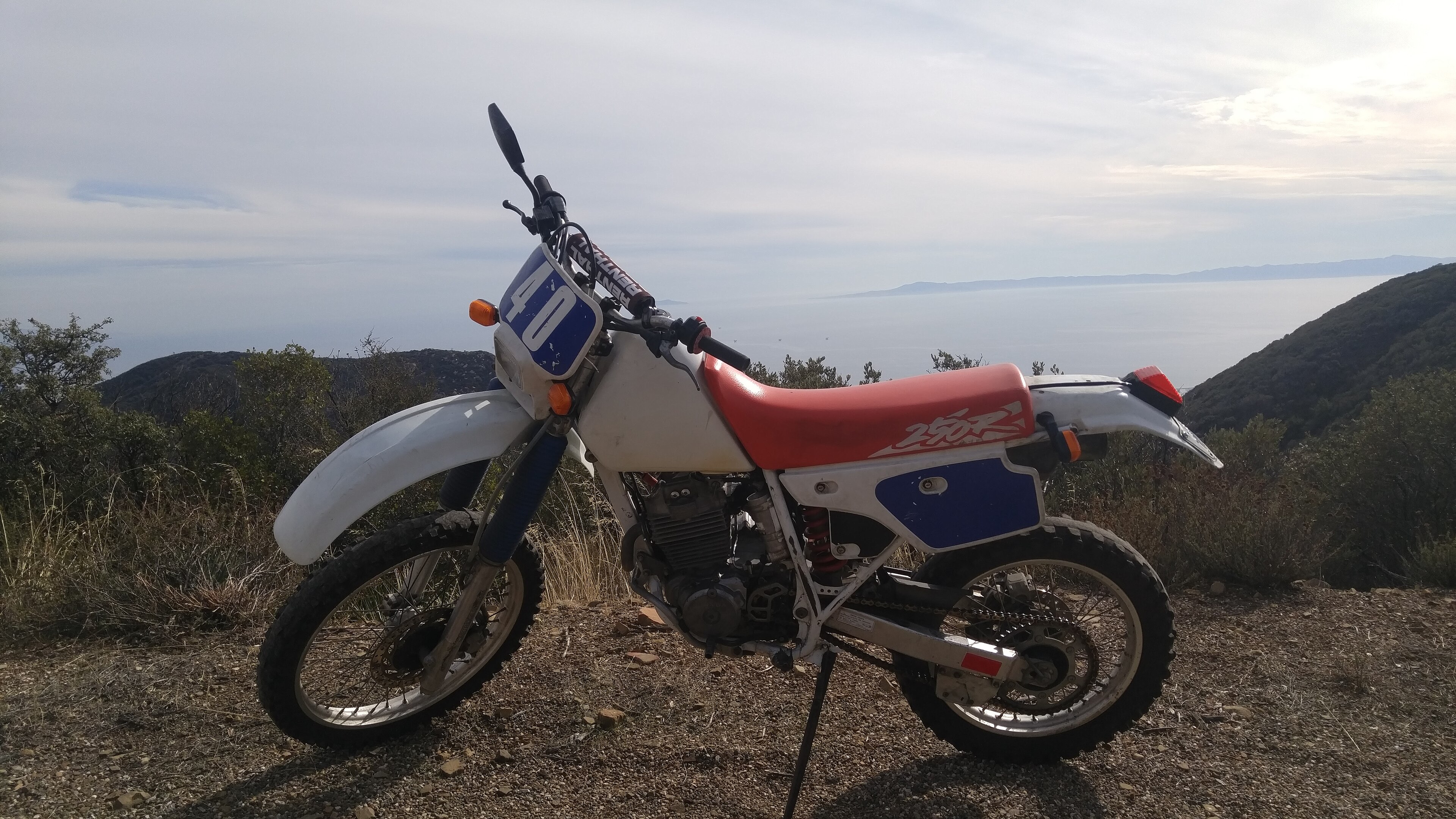 XR250R