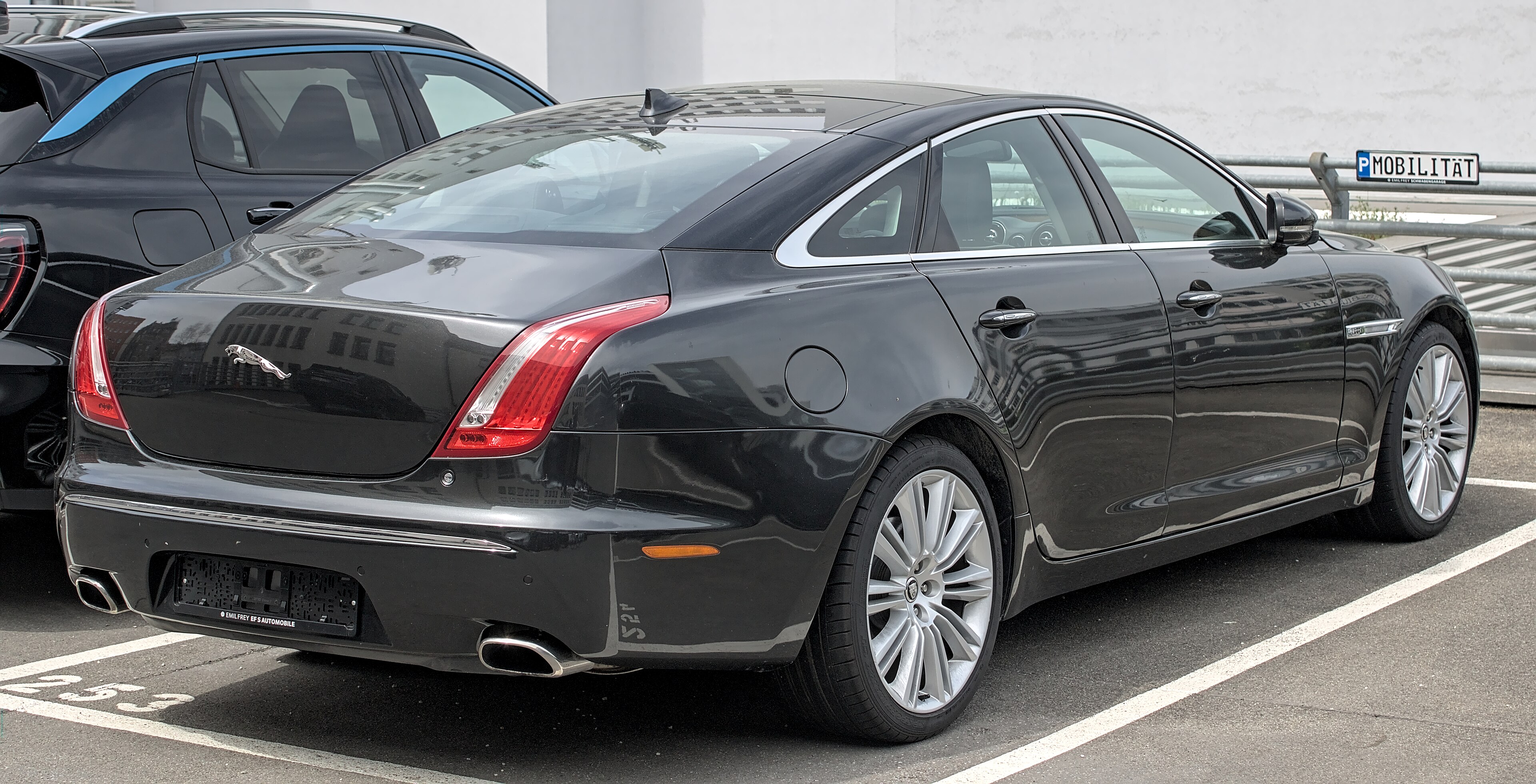 Jaguar Black Jaguar