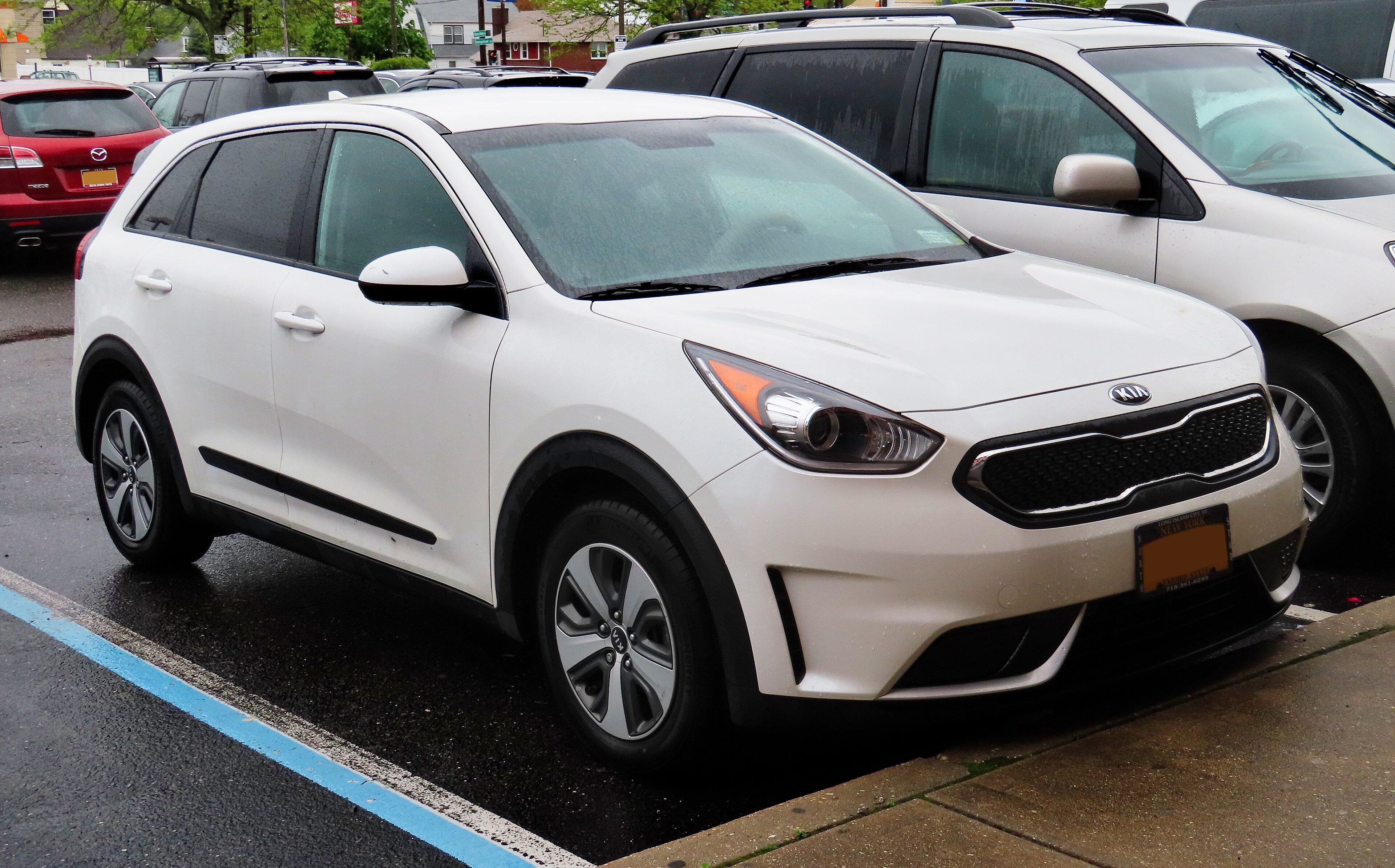 niro-fe