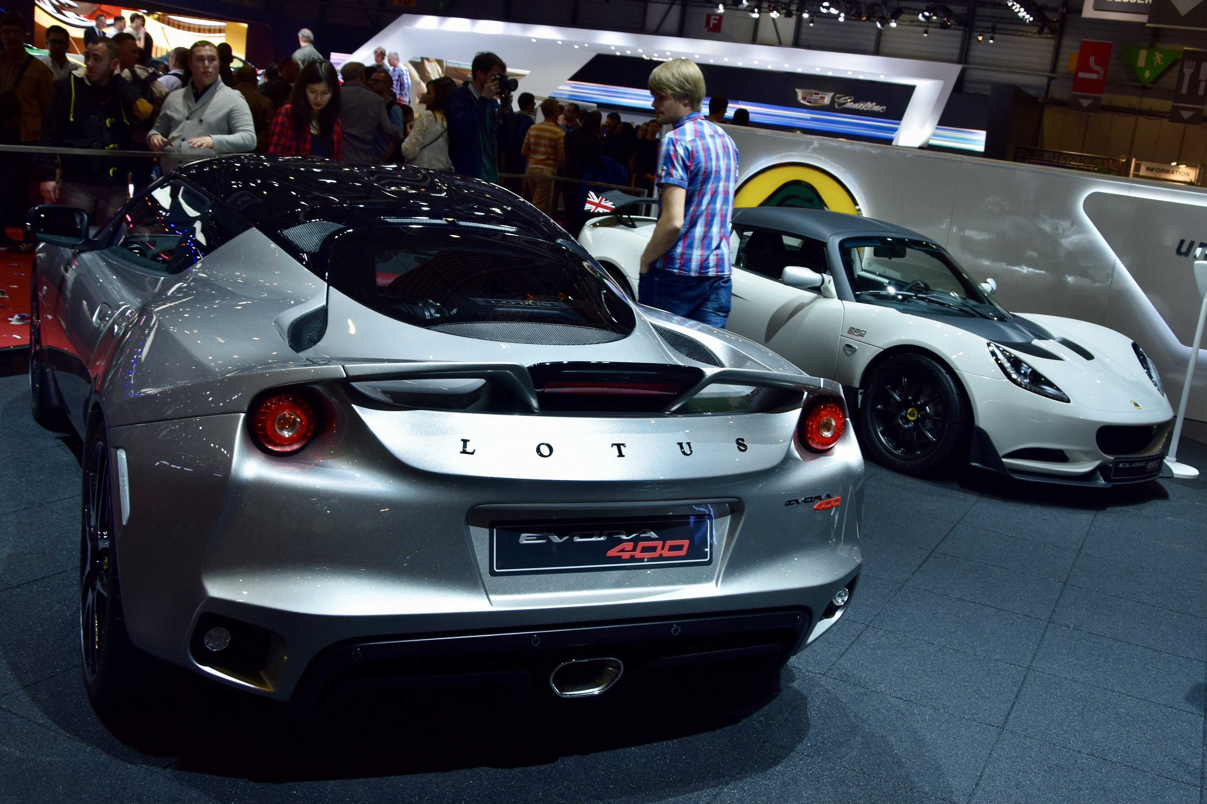 Lotus evora