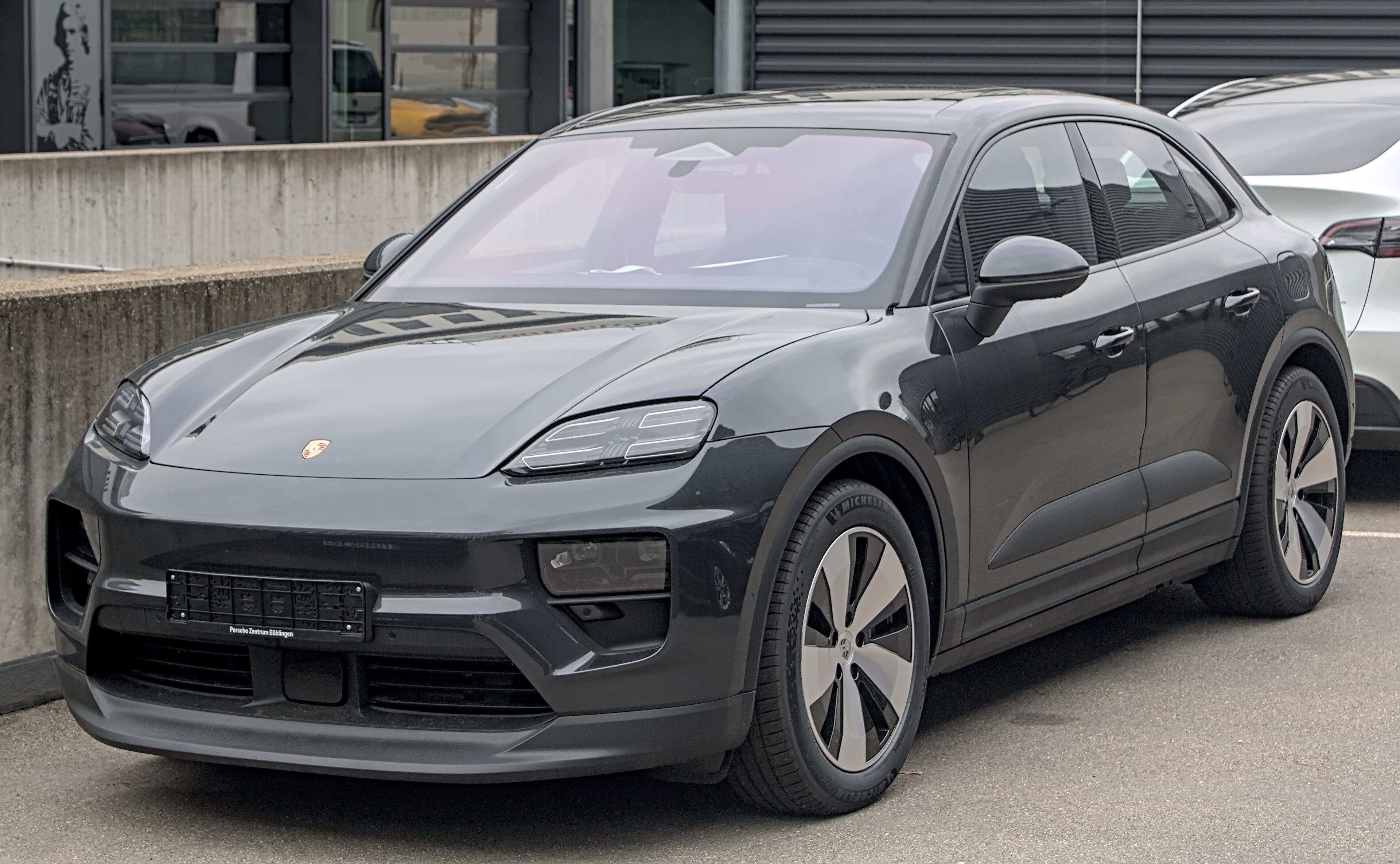Macan
