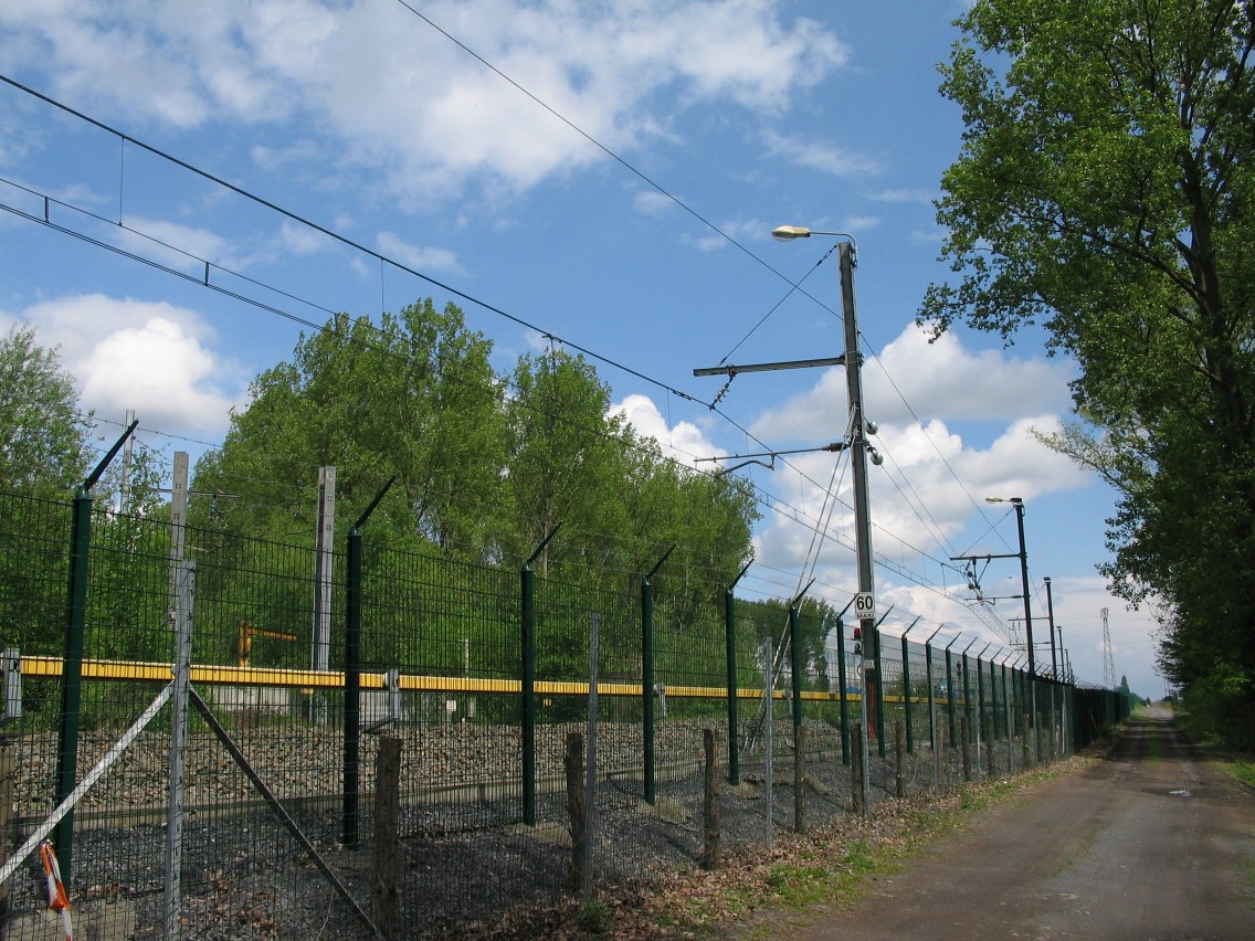Metro Tram