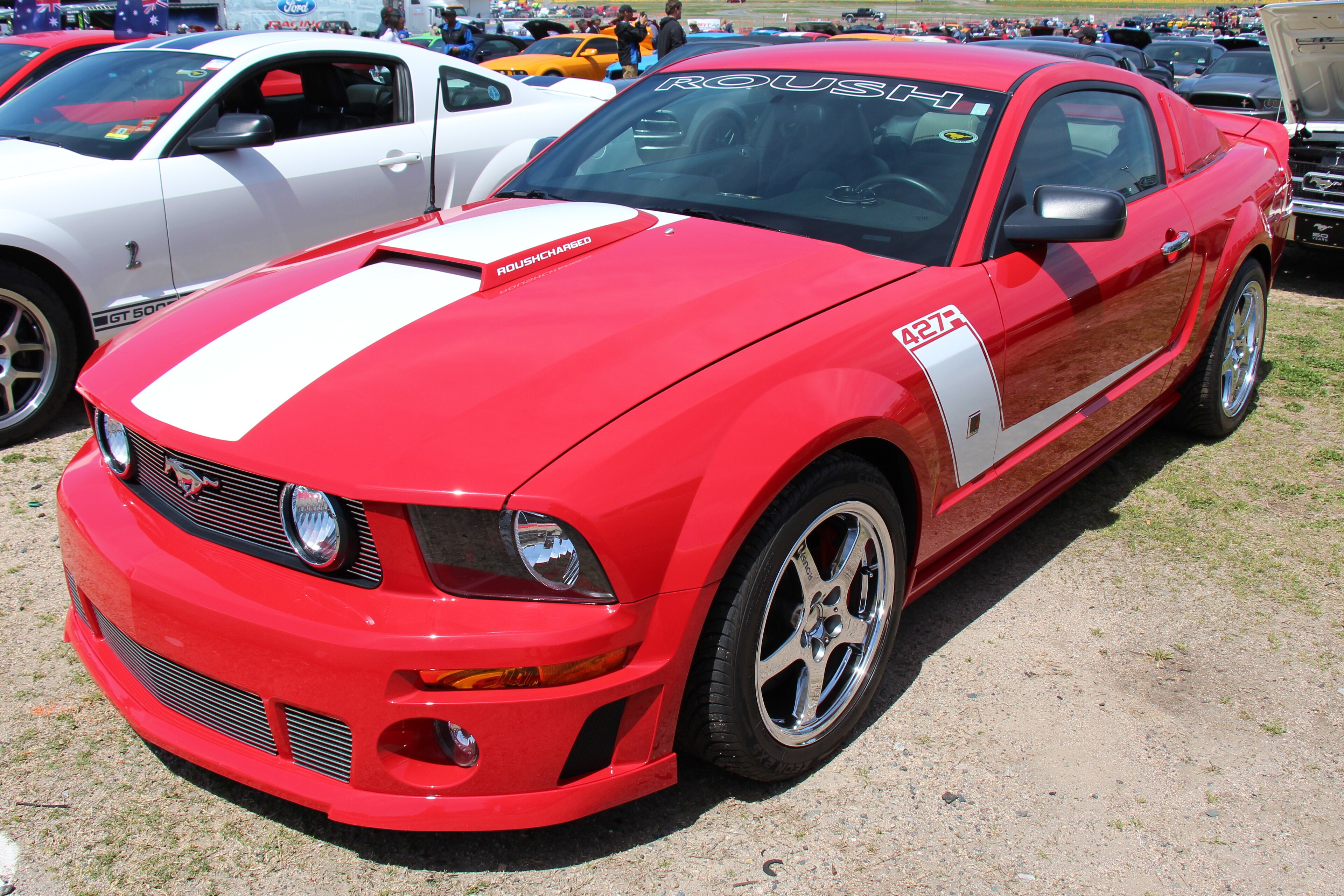 stage-3-mustang