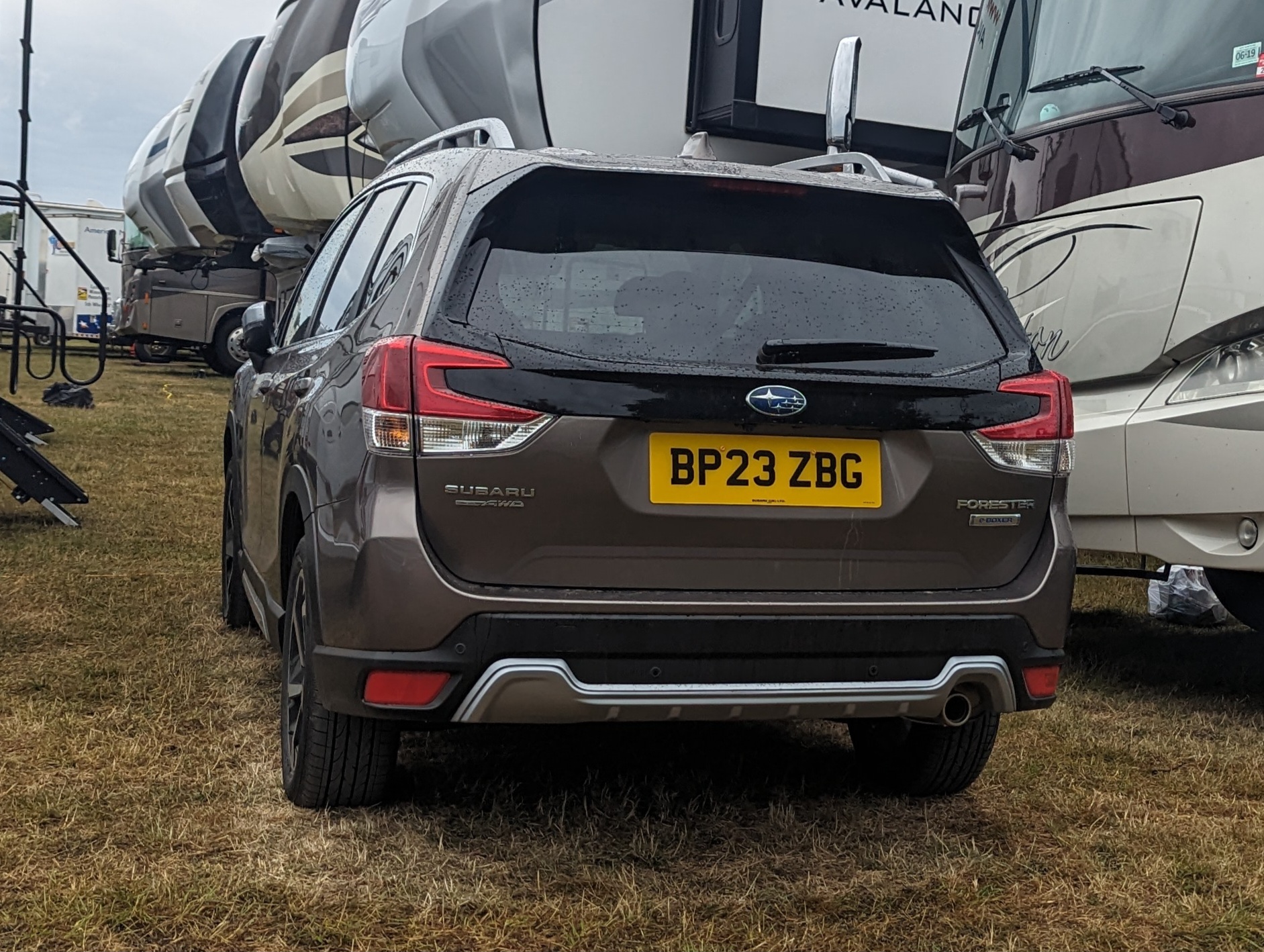 forester-awd